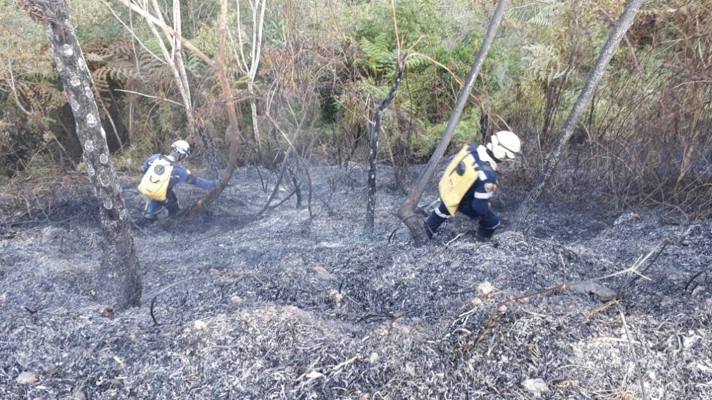 Incendio Forestal 01-08-2019